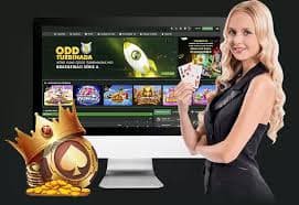 Live dealer studio setup for Shio Game draws on hao788 login